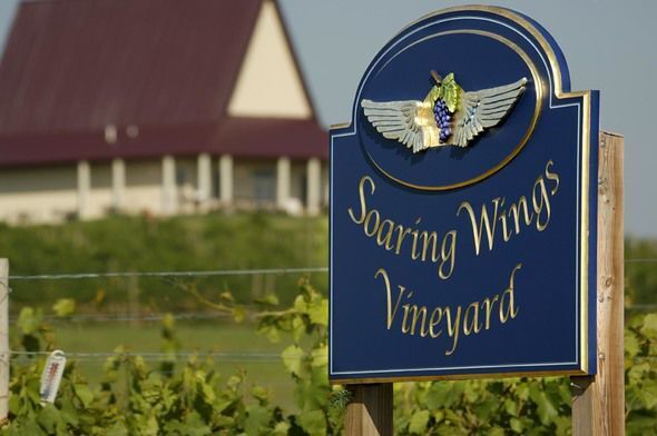 Dining Notes: Area vineyard to have ‘Friendsgiving’ dinner